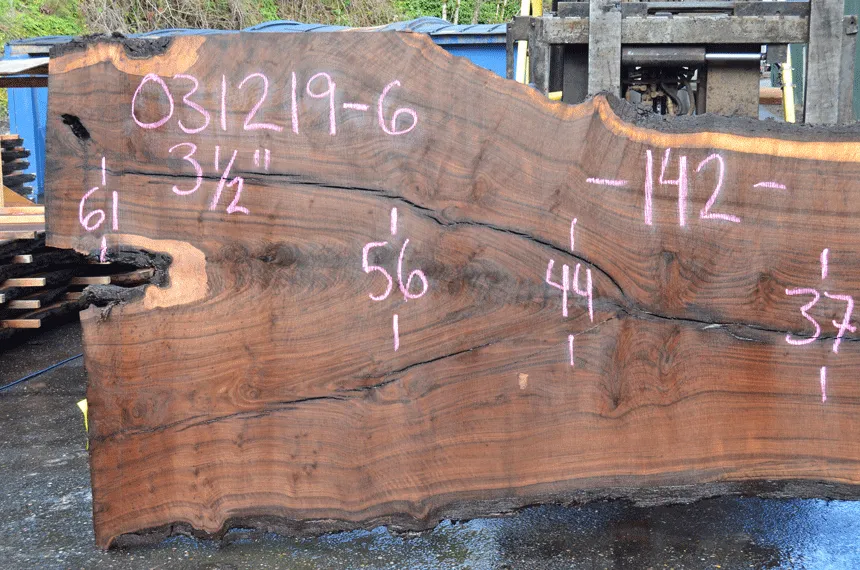 031219-06 Oregon Black Walnut Slab