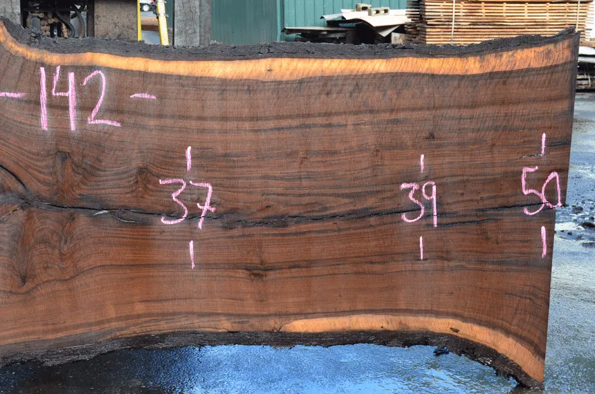031219-06 Oregon Black Walnut Slab