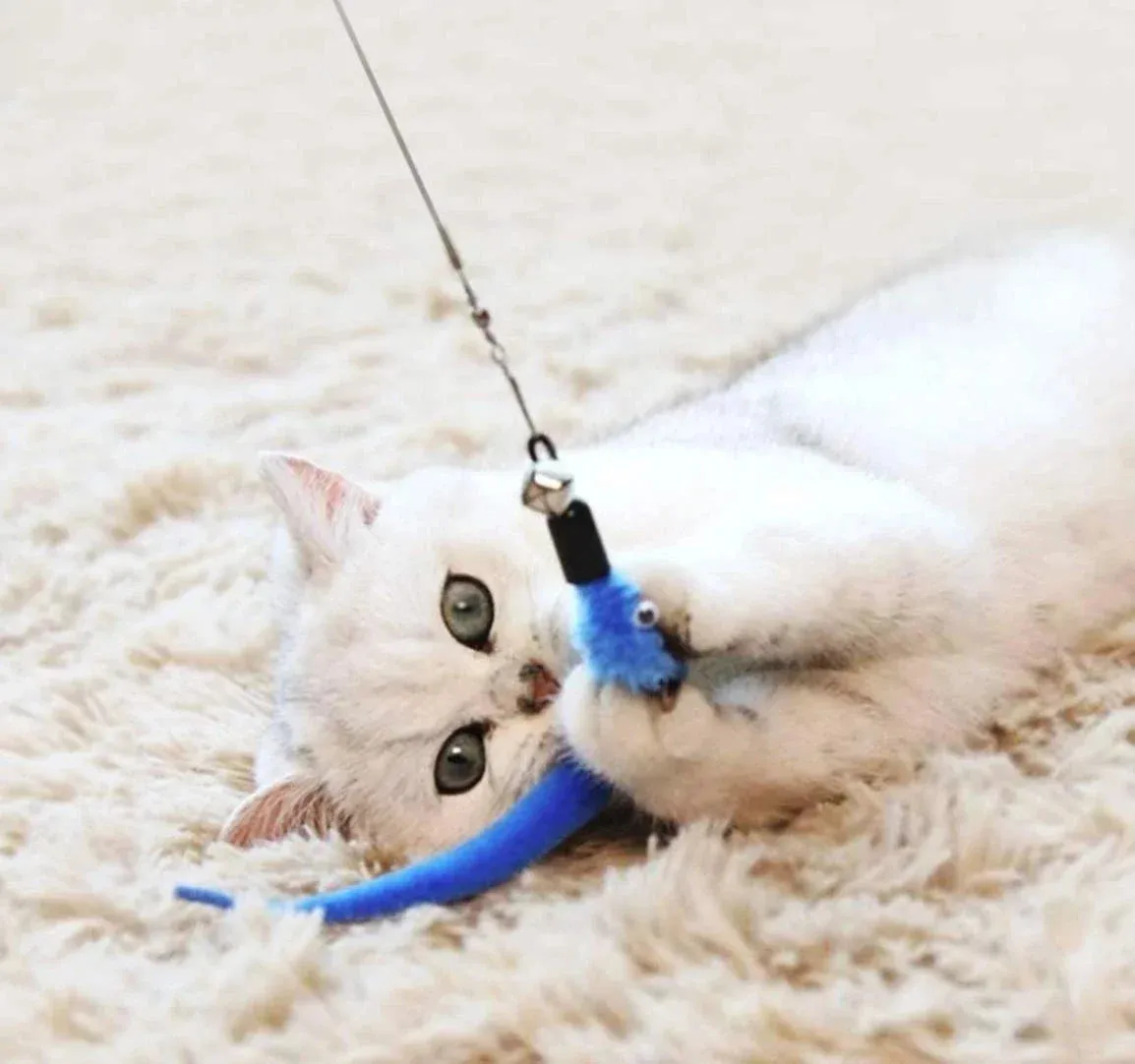 11pcs Replacement Cat Feather Toy Set