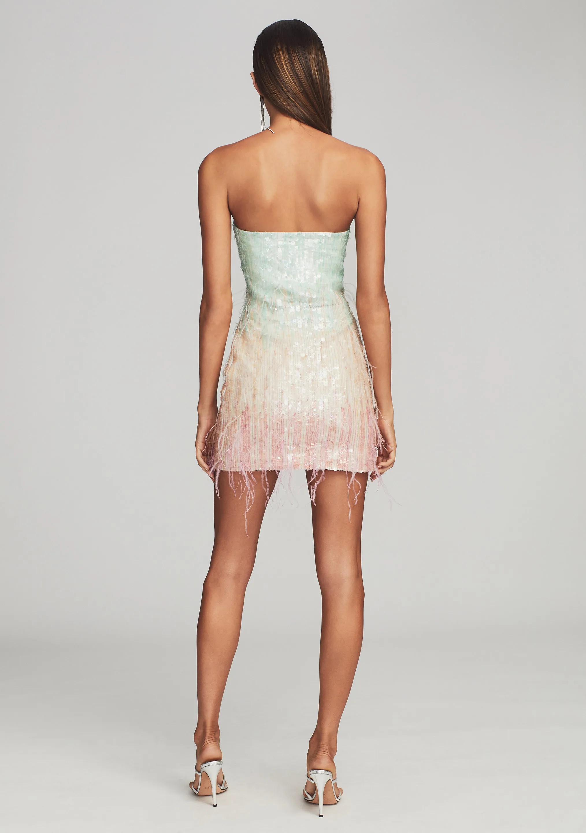 Anastasia Sequin Feather Dress
