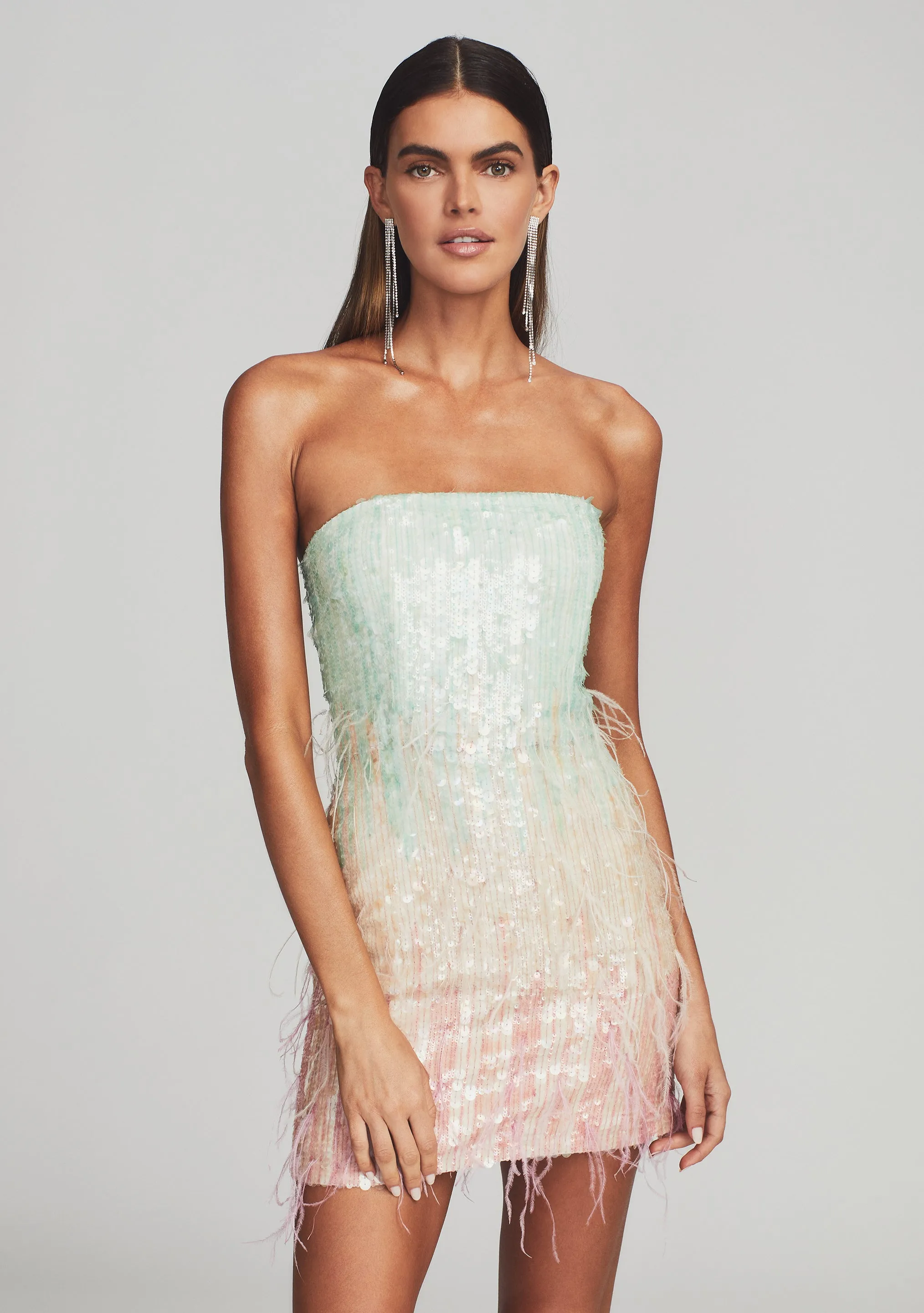 Anastasia Sequin Feather Dress
