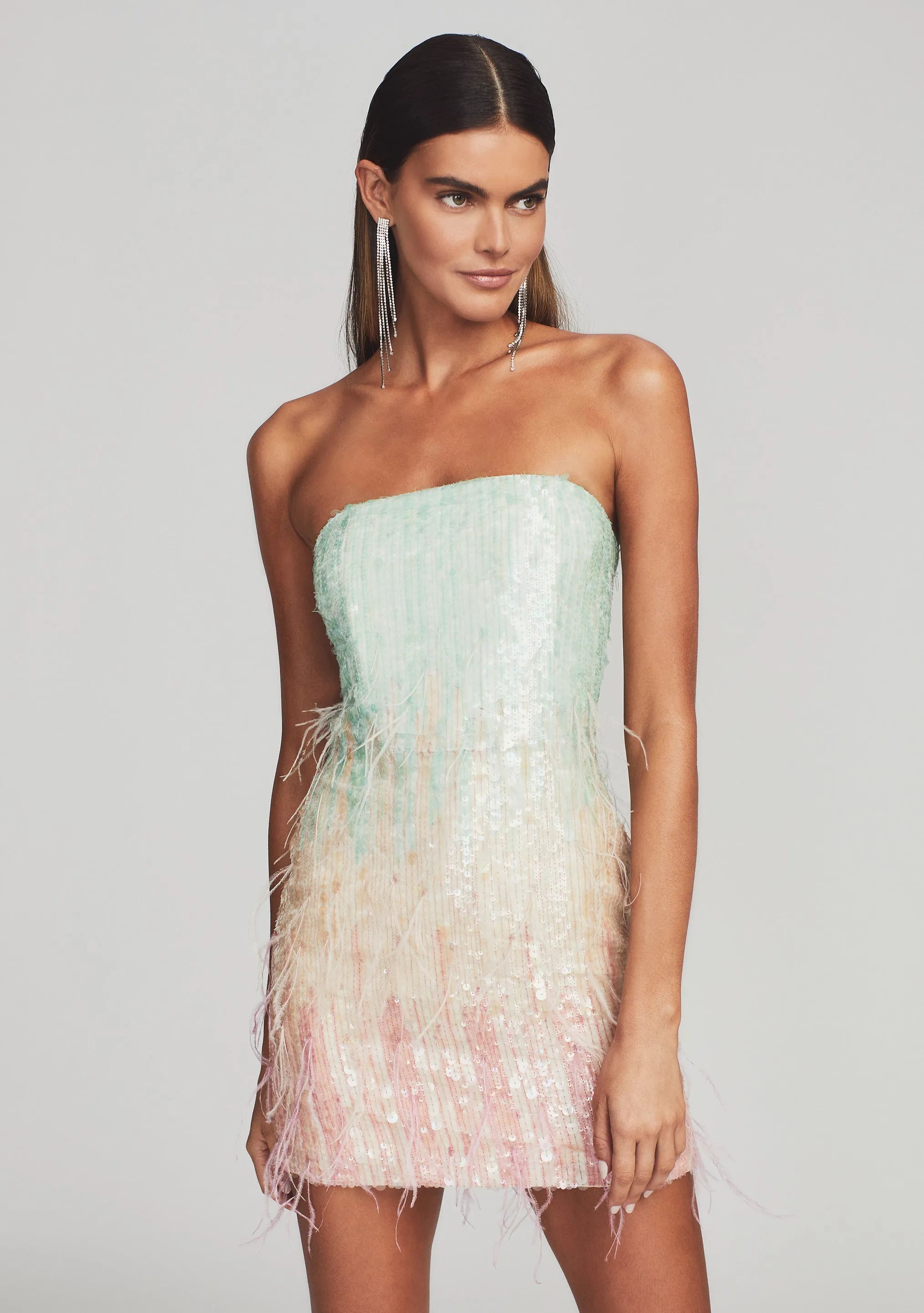 Anastasia Sequin Feather Dress