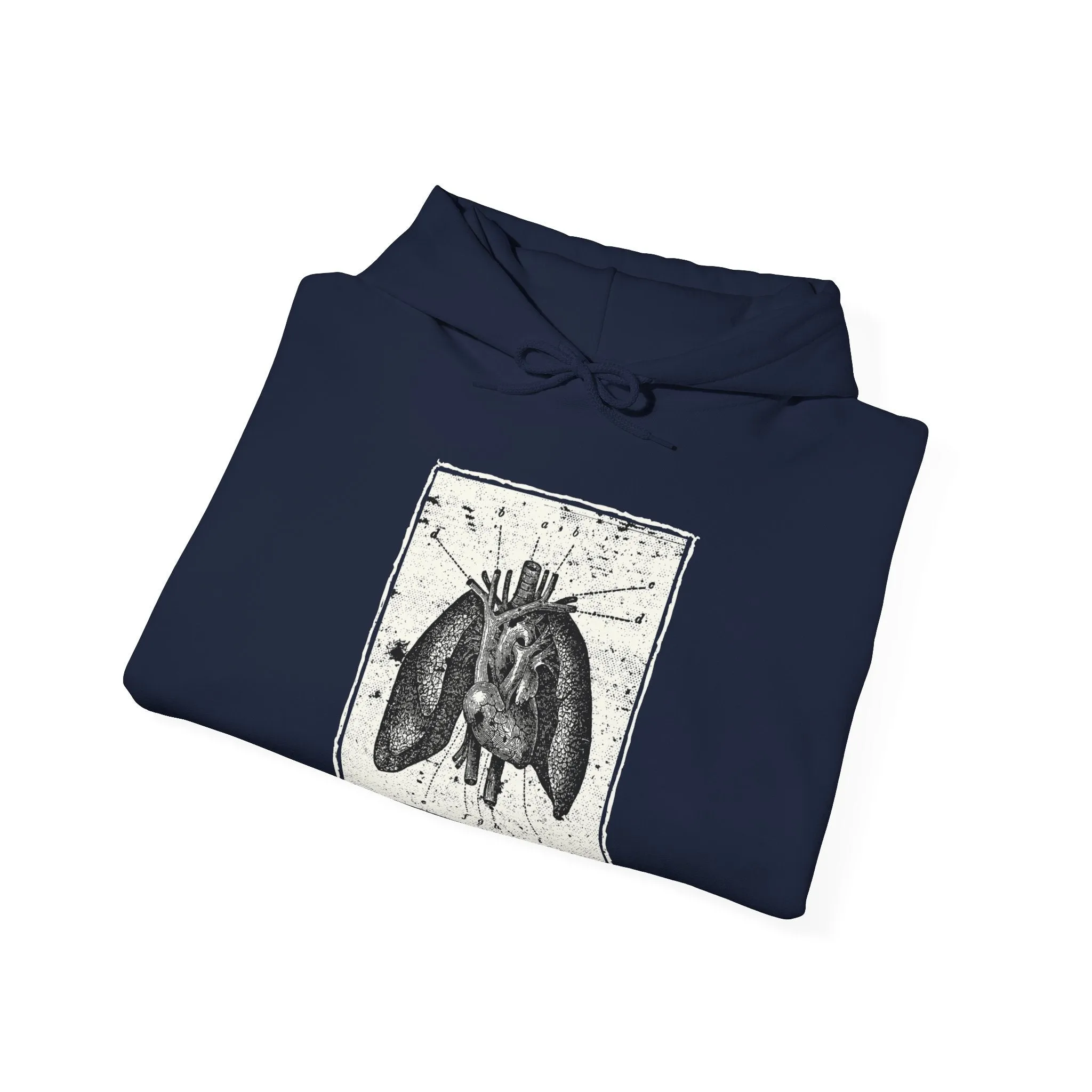 Anatomia Pectus Hoodie