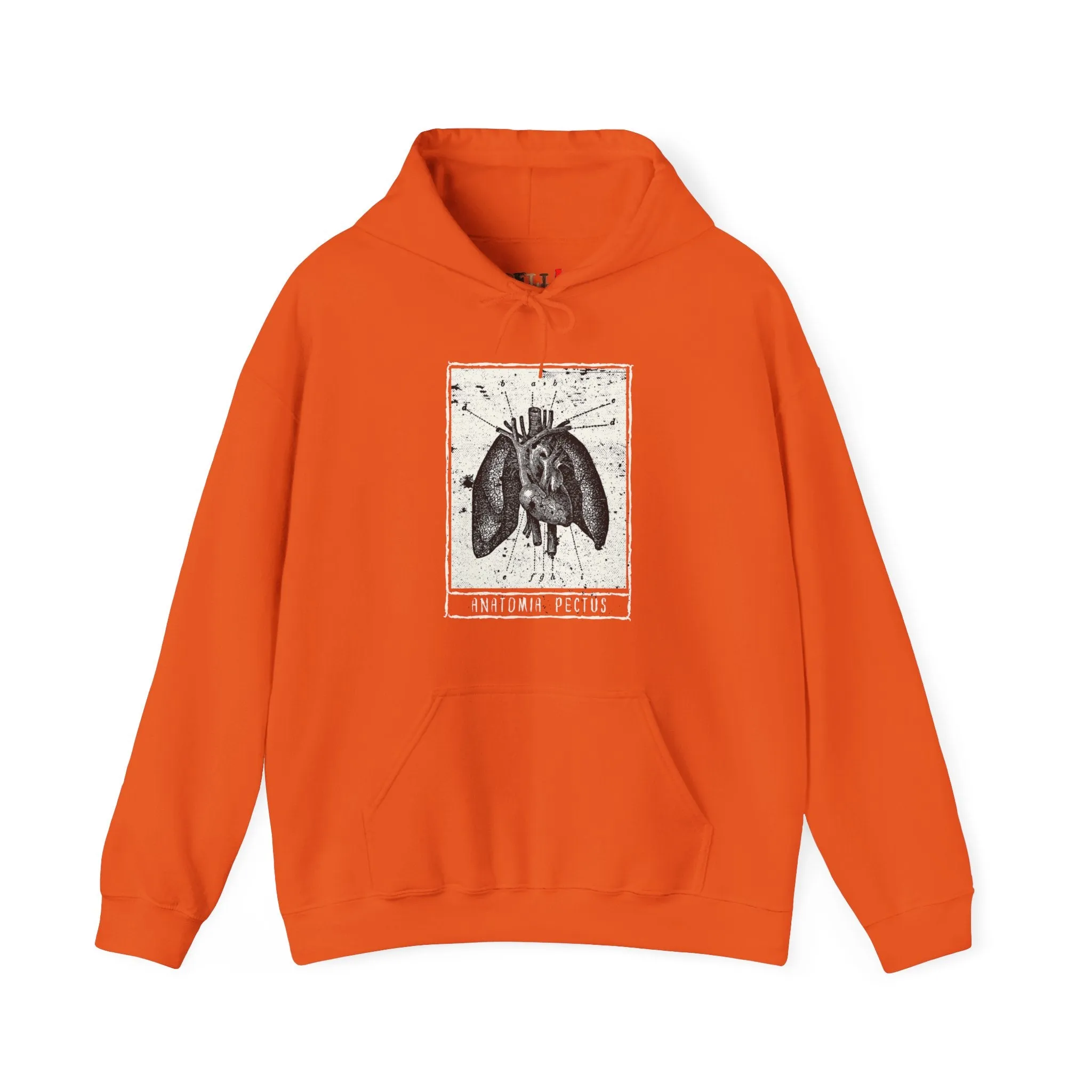 Anatomia Pectus Hoodie