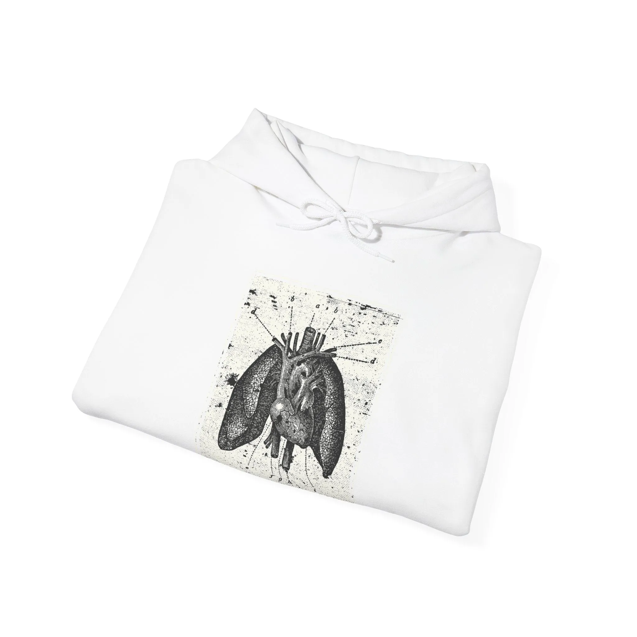 Anatomia Pectus Hoodie