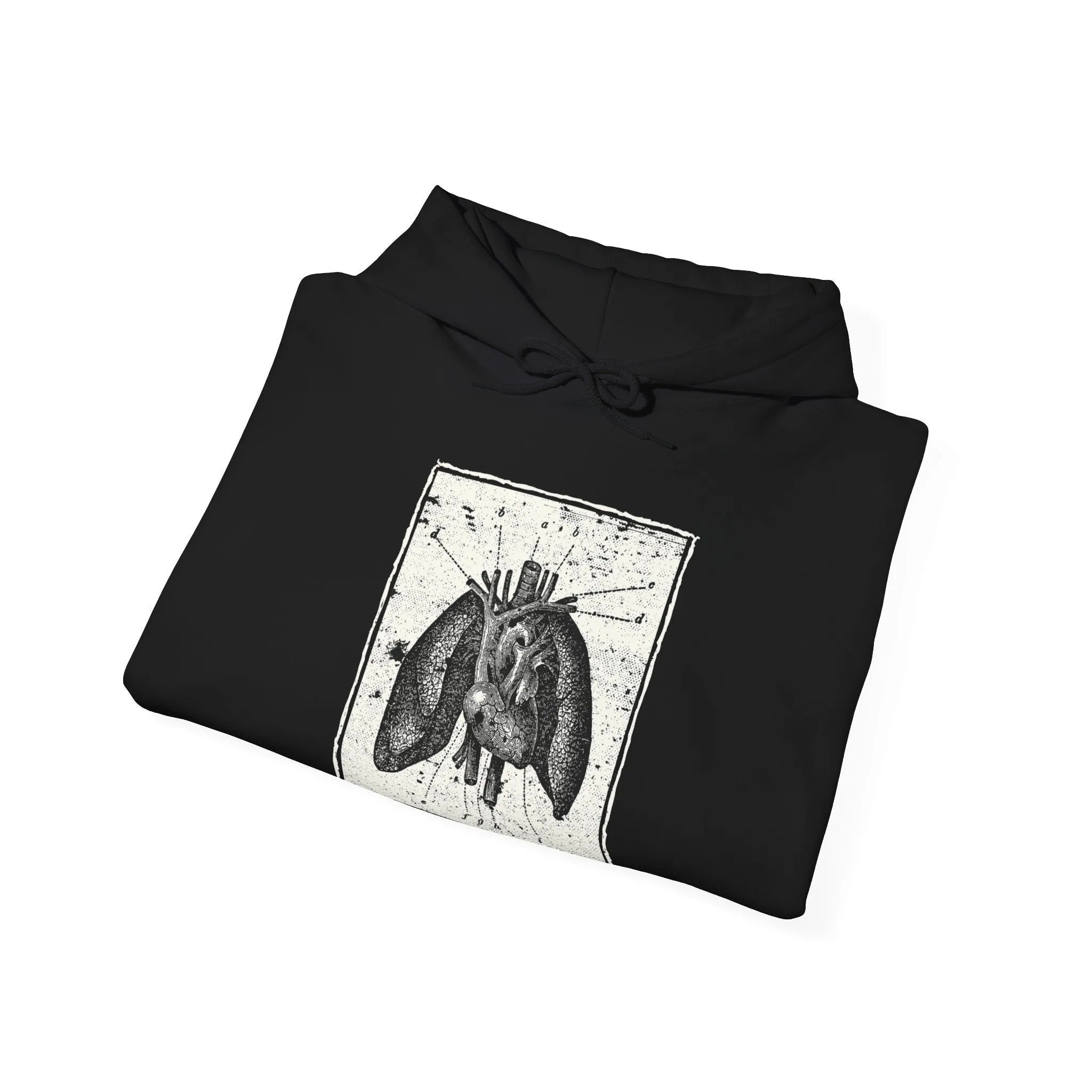 Anatomia Pectus Hoodie