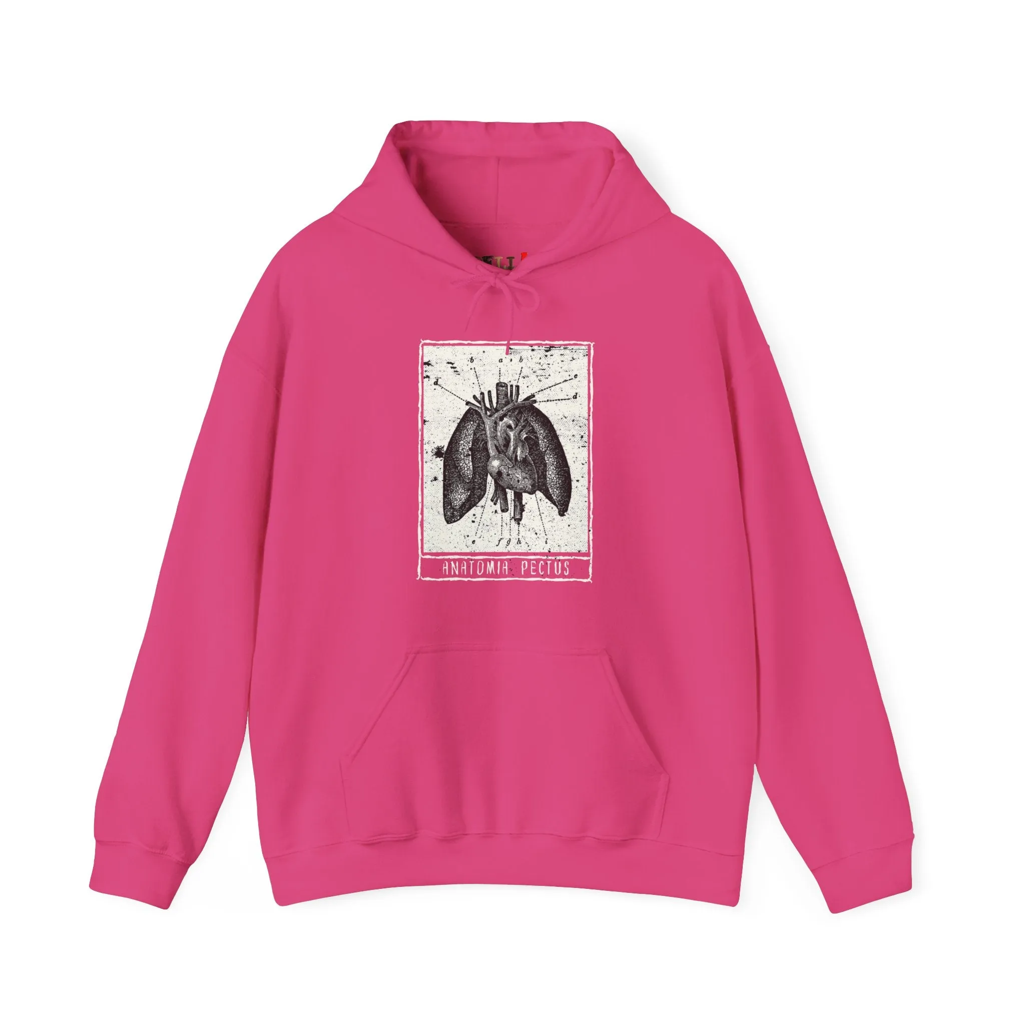Anatomia Pectus Hoodie