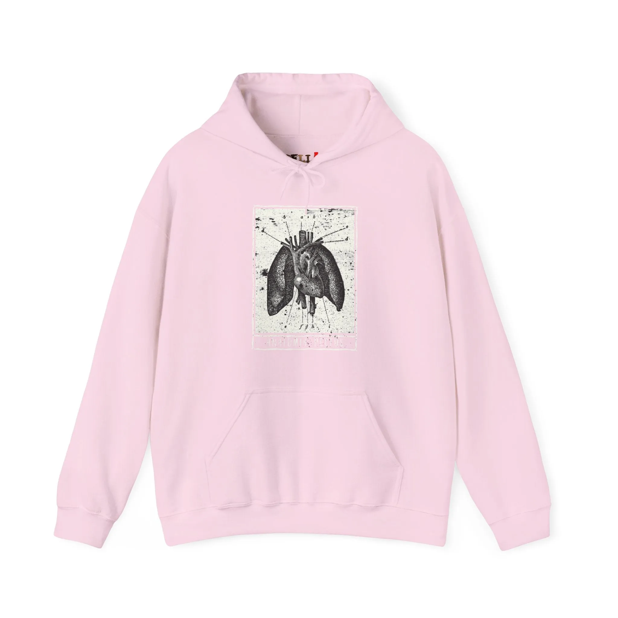 Anatomia Pectus Hoodie