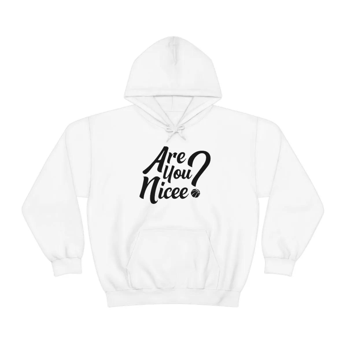 Are You Nicee? Sweatshirt