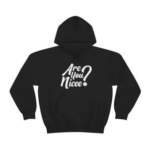 Are You Nicee? Sweatshirt