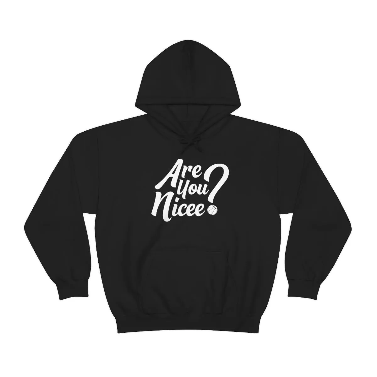 Are You Nicee? Sweatshirt