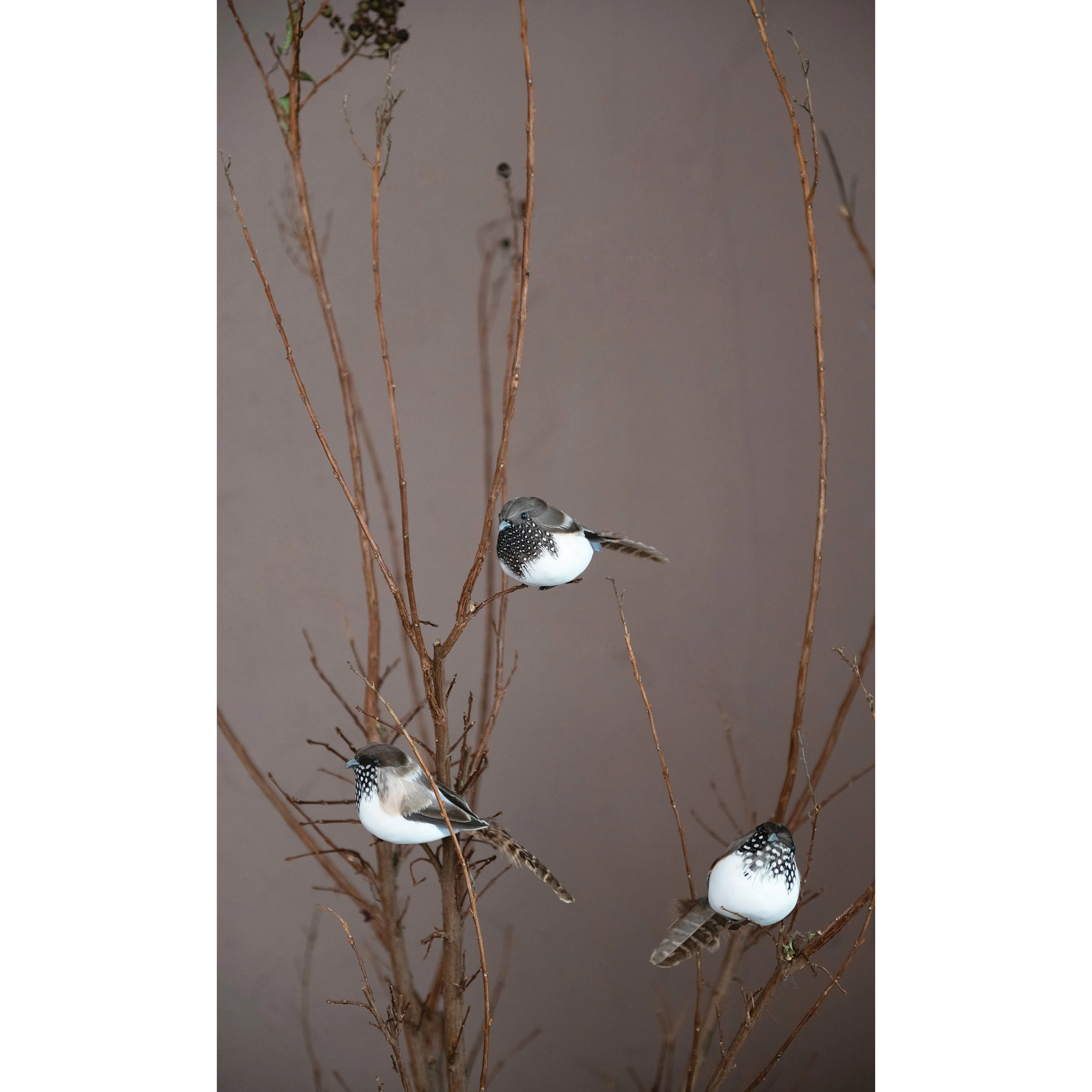 Bird Ornaments