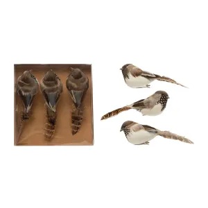 Bird Ornaments