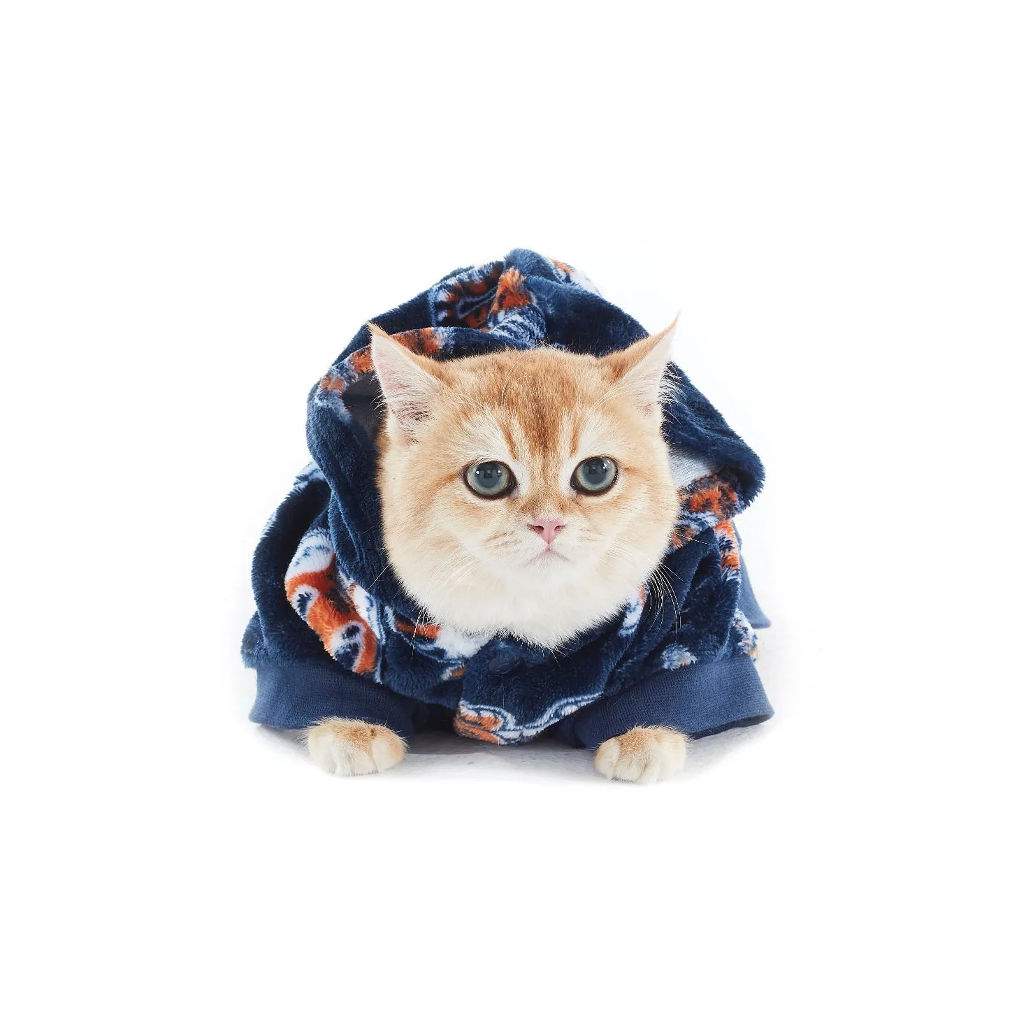 Charlie's Uggo Tig-AWR Dog Hoodie Navy Small
