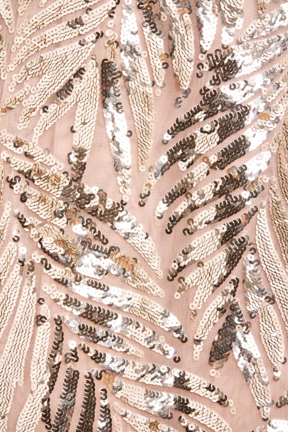 Feather Sequin Strapless Ballerina Dress