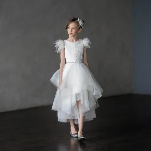 Feather Sleeve Horsehair Dress G22