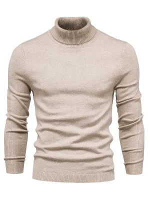 Fine merino wool turtleneck sweater for men