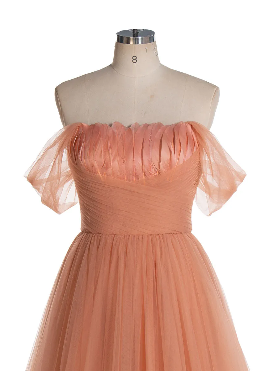 Garden Burnt Orange Petals Ruffles Tulle Bridal Dresses Cap Sleeve Feather A-line Long Photoshoot Gowns YW240118