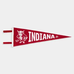 IU Bison Felt Pennant