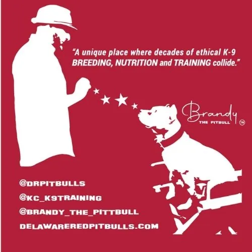 KC K-9  T-Shirts