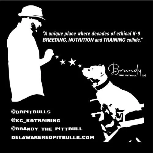 KC K-9  T-Shirts