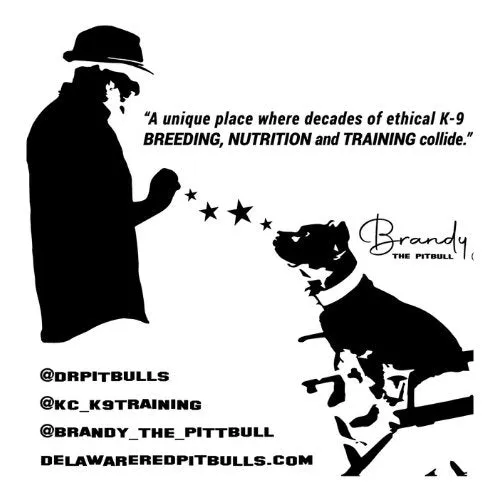 KC K-9  T-Shirts