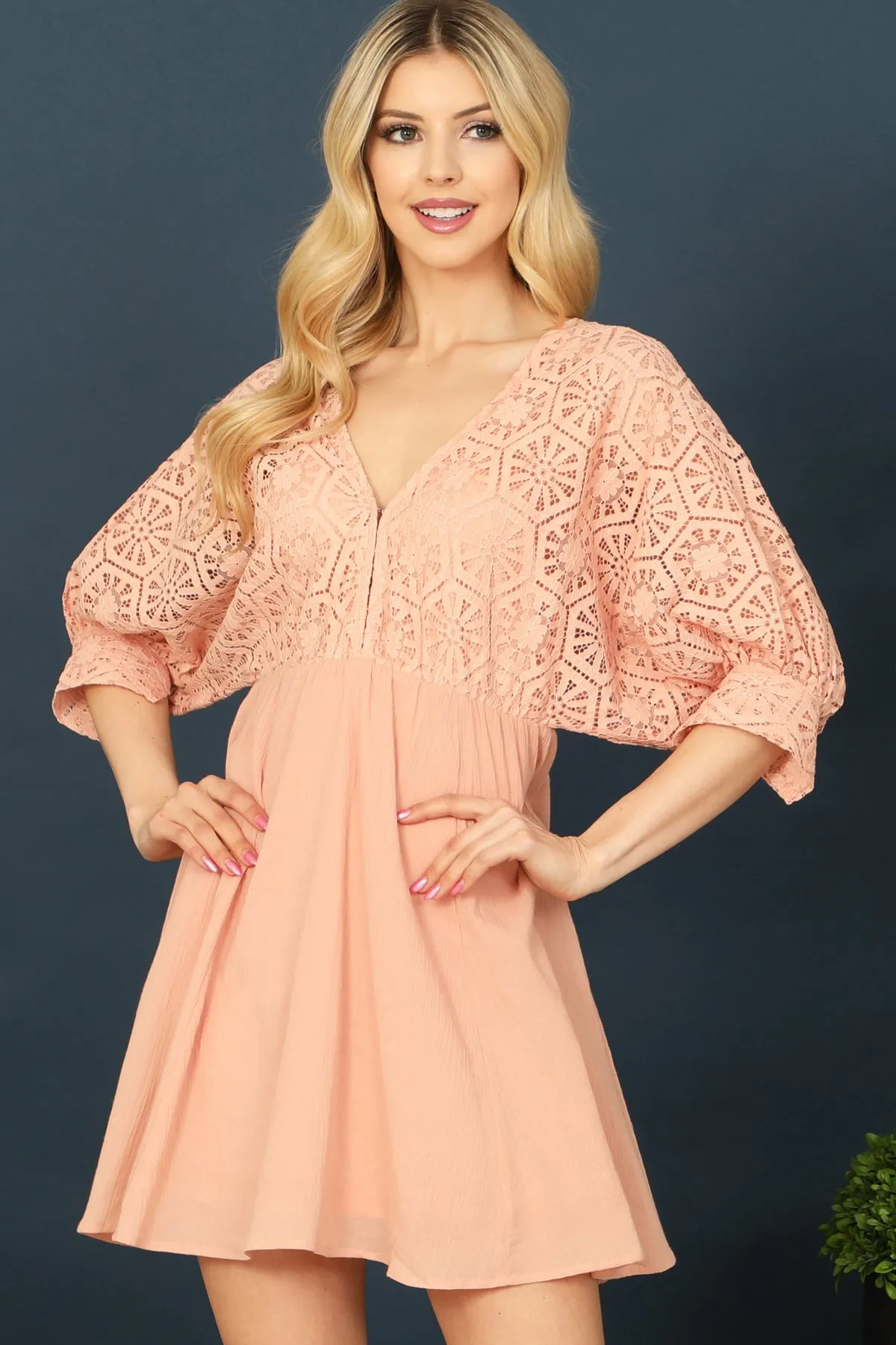 Lace Detail Half Sleeve Back Tie Mini Dress