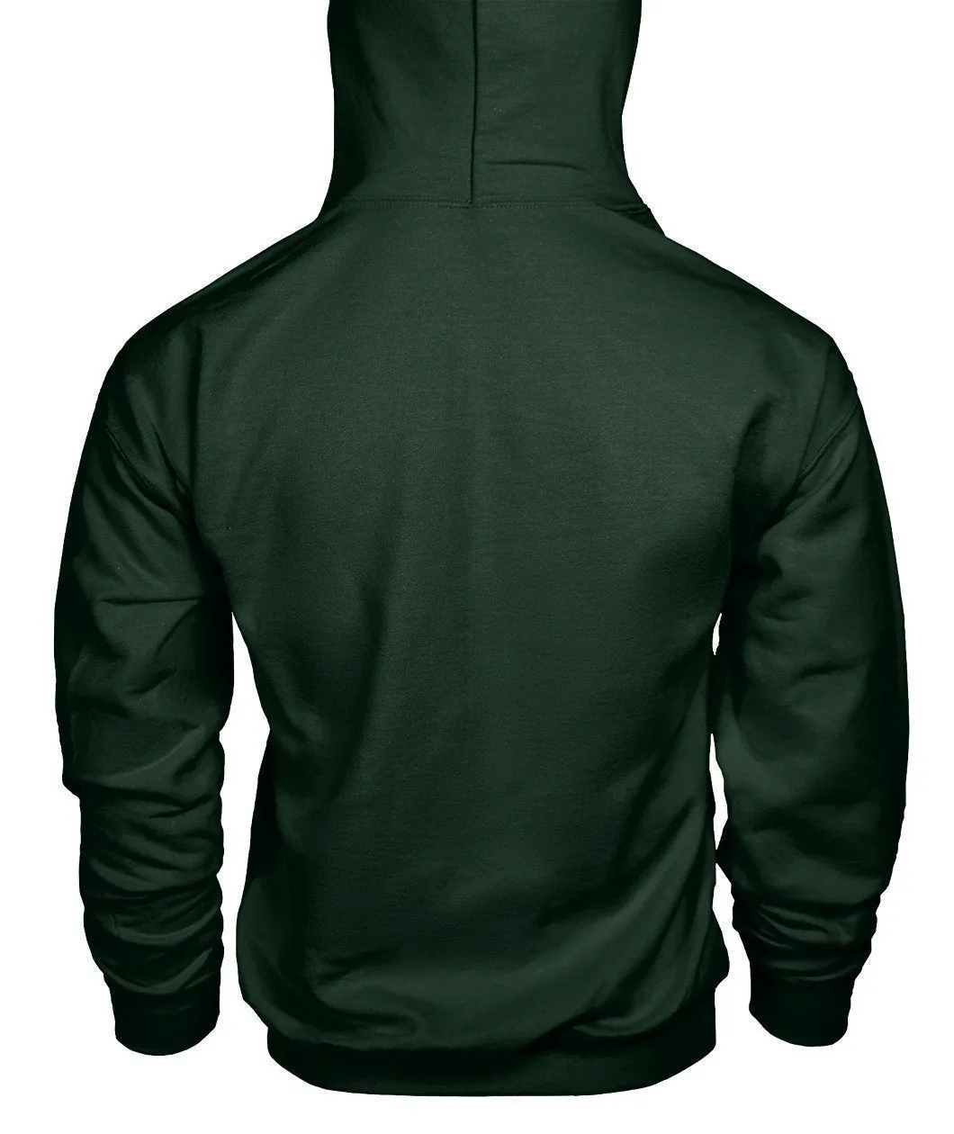 LEWIS HAMILTON AMG PETRONAS Hoodie