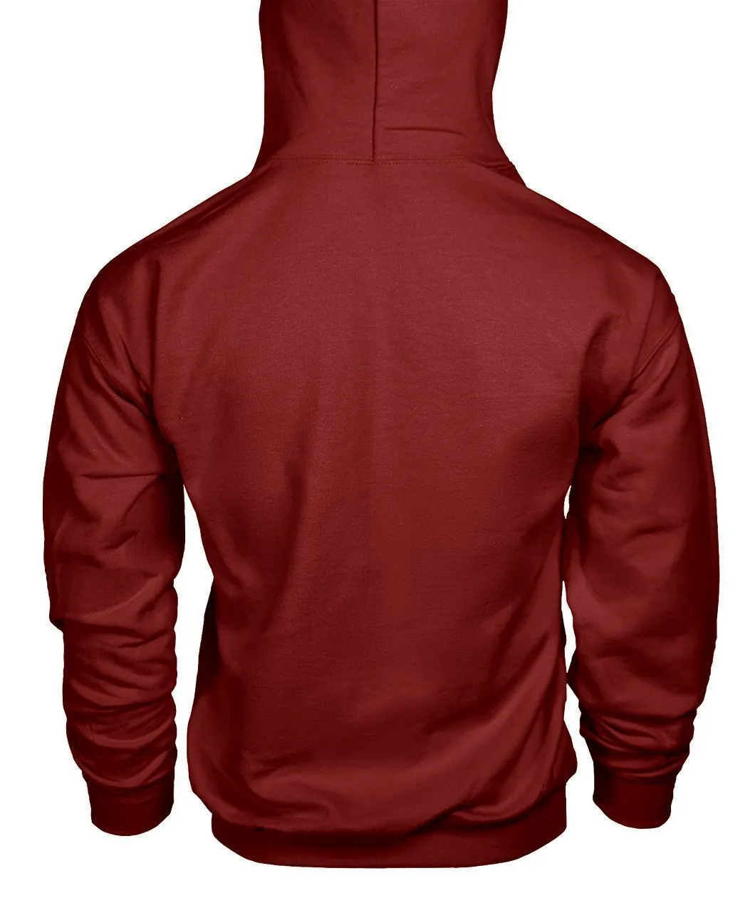 LEWIS HAMILTON AMG PETRONAS Hoodie
