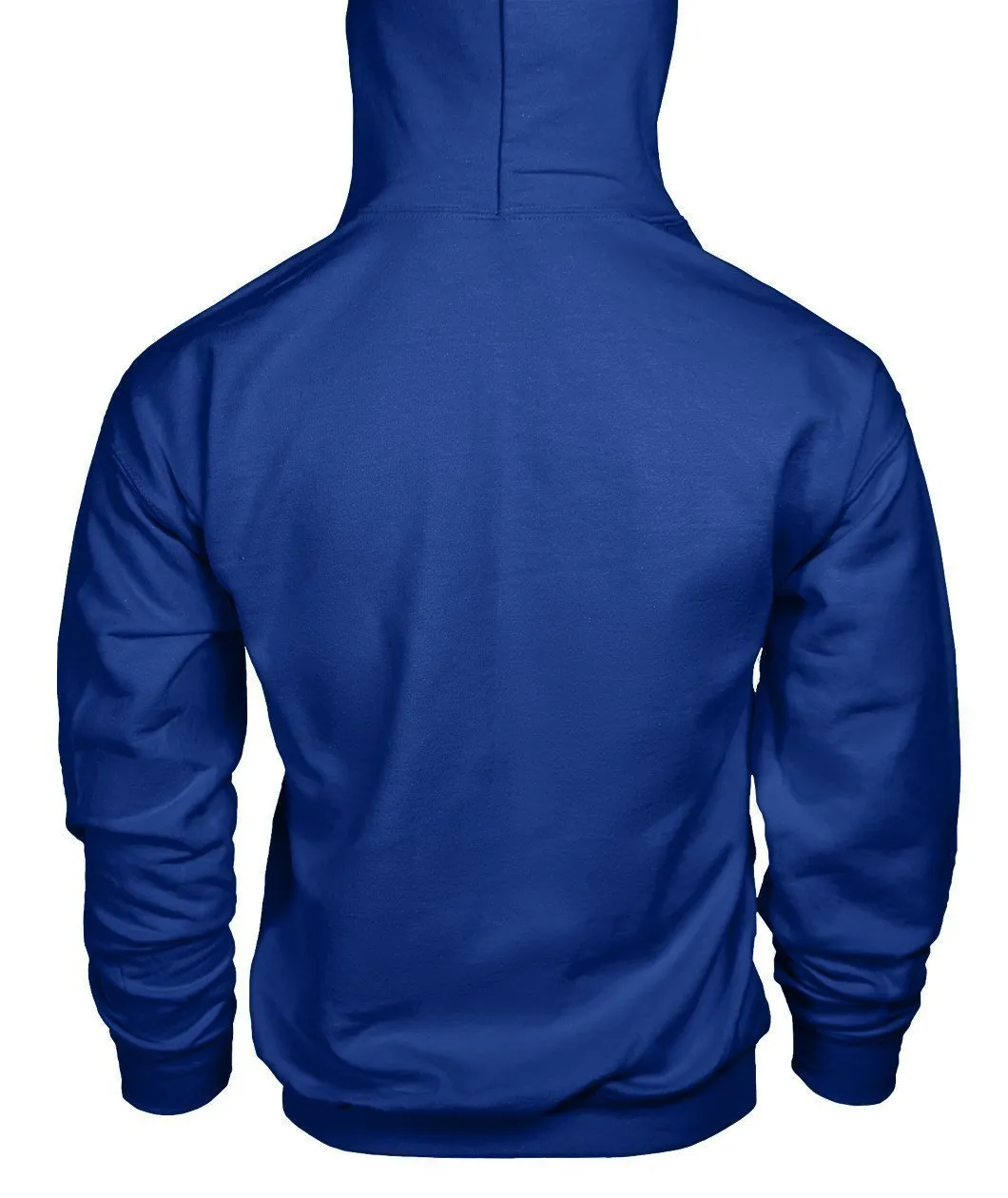LEWIS HAMILTON AMG PETRONAS Hoodie