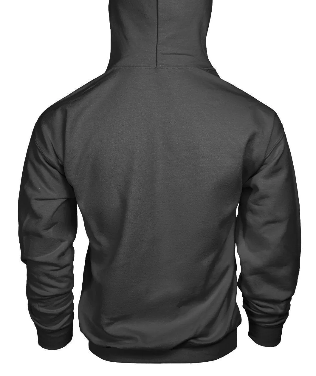 LEWIS HAMILTON AMG PETRONAS Hoodie