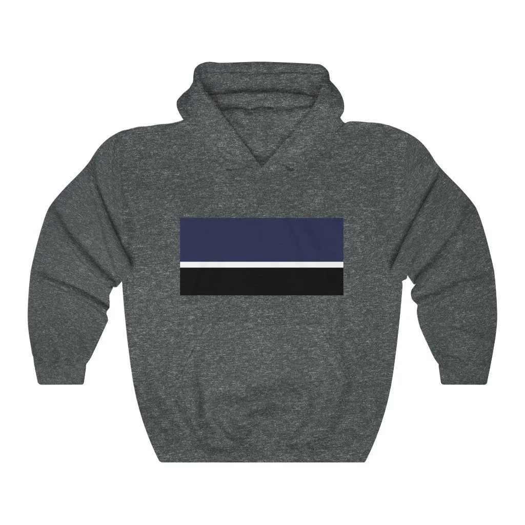 Mens Multi Strip Hooded Sweatshirt