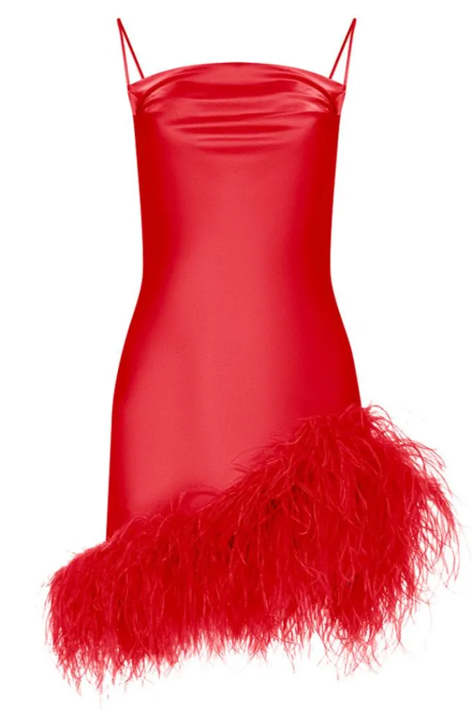Mini dress with an ostrich feather