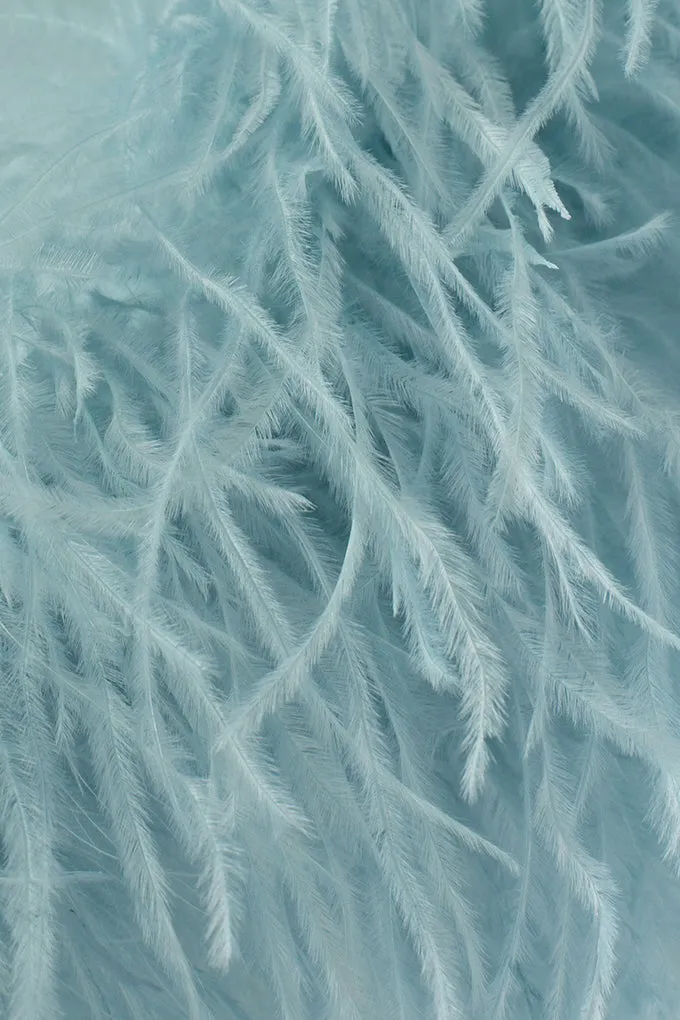 Mini dress with an ostrich feather