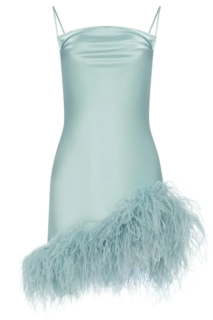 Mini dress with an ostrich feather