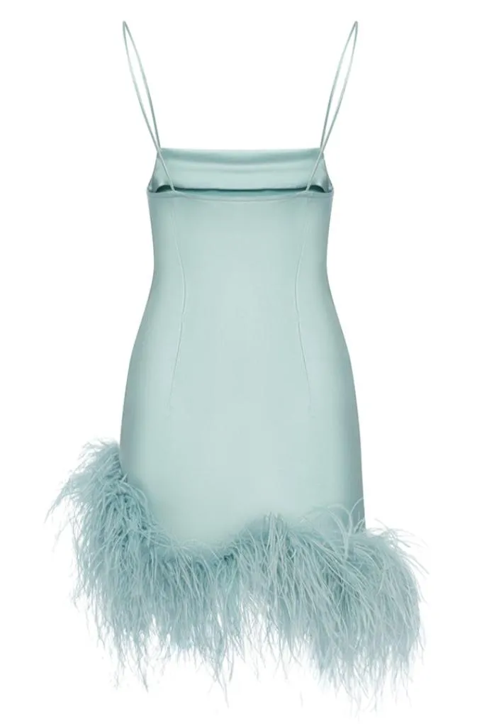 Mini dress with an ostrich feather