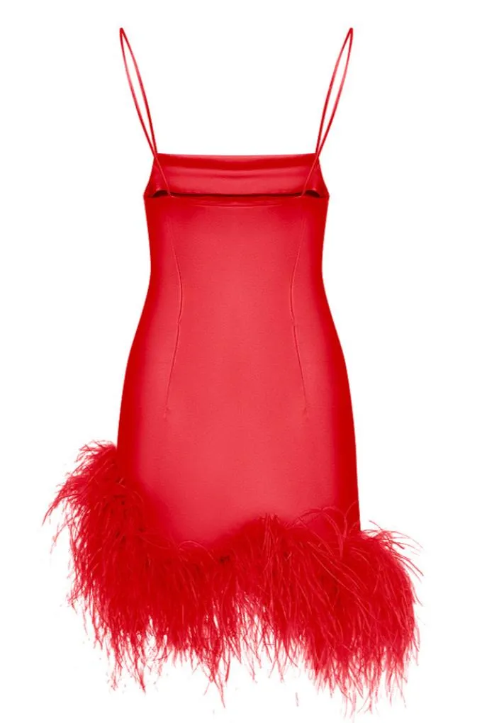 Mini dress with an ostrich feather