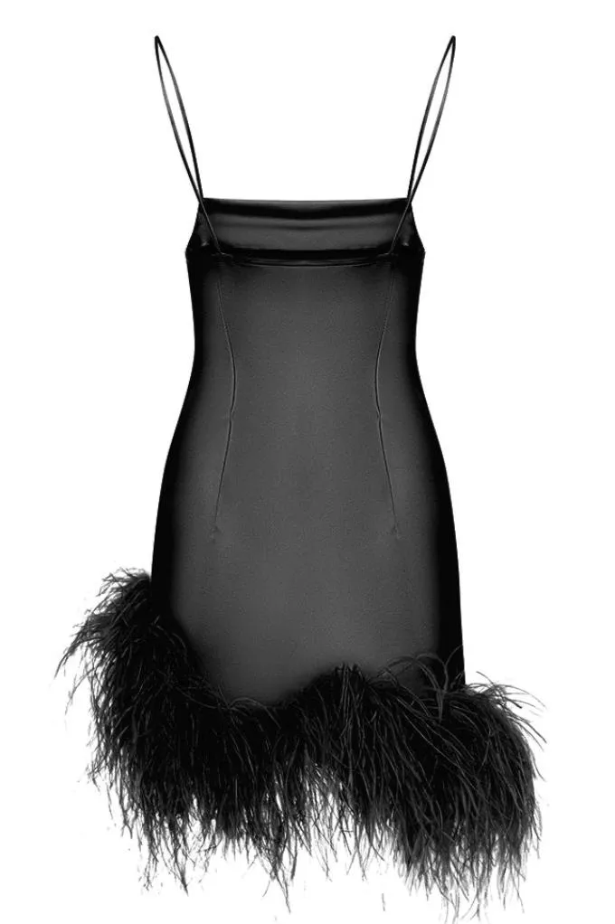 Mini dress with an ostrich feather