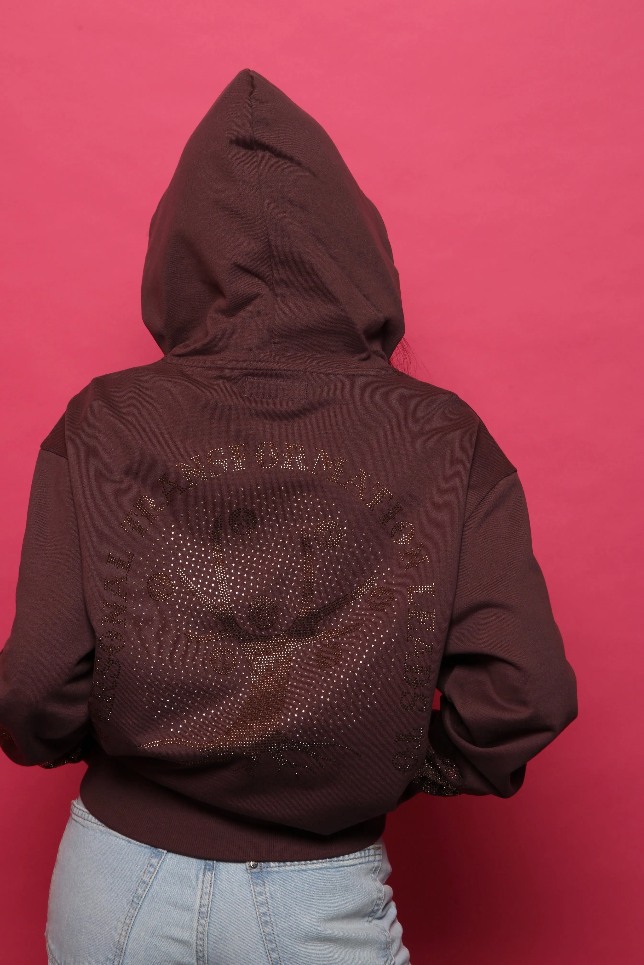 Money Tree Rhinestone Affirmation Hoodie - Brown