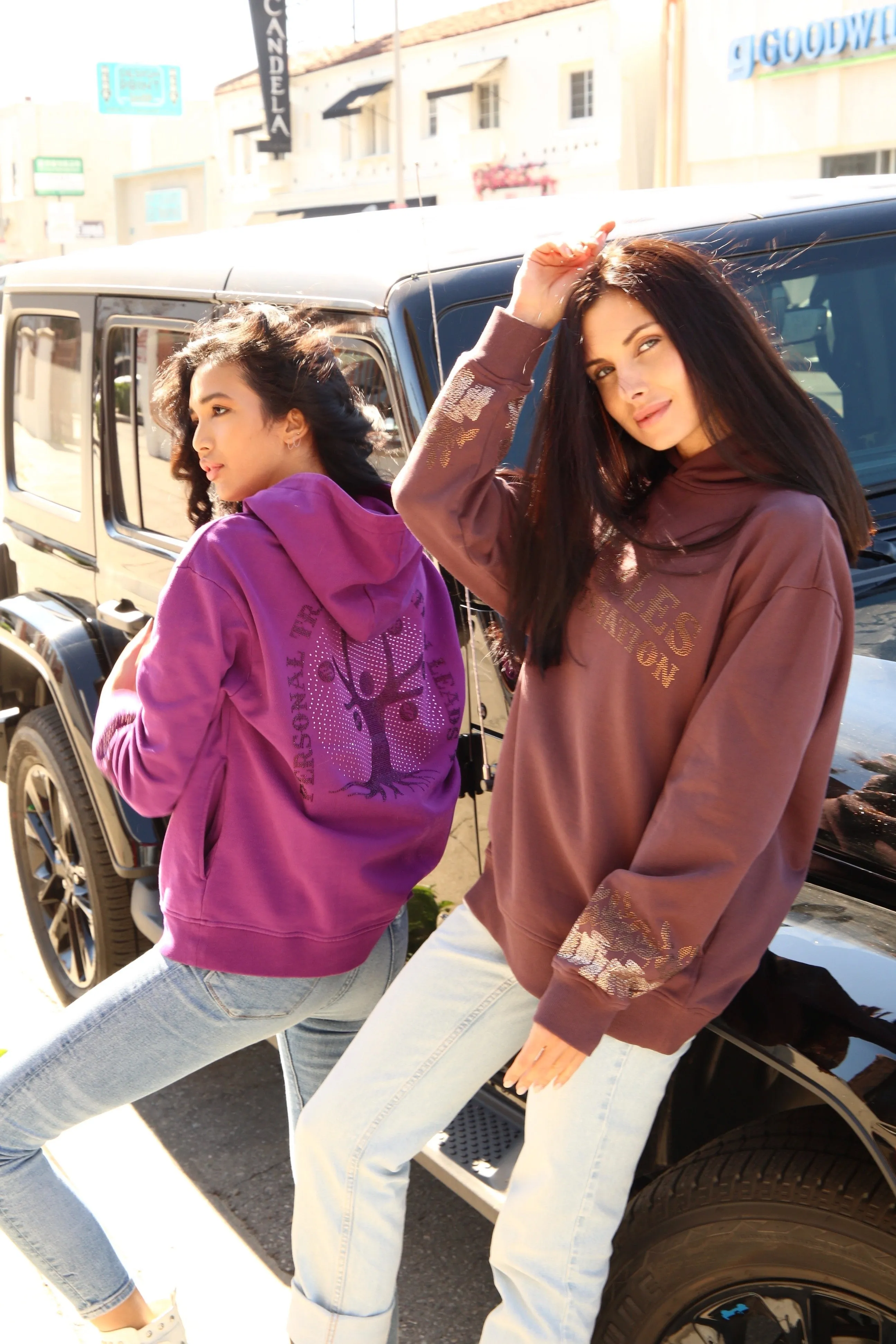 Money Tree Rhinestone Affirmation Hoodie - Brown