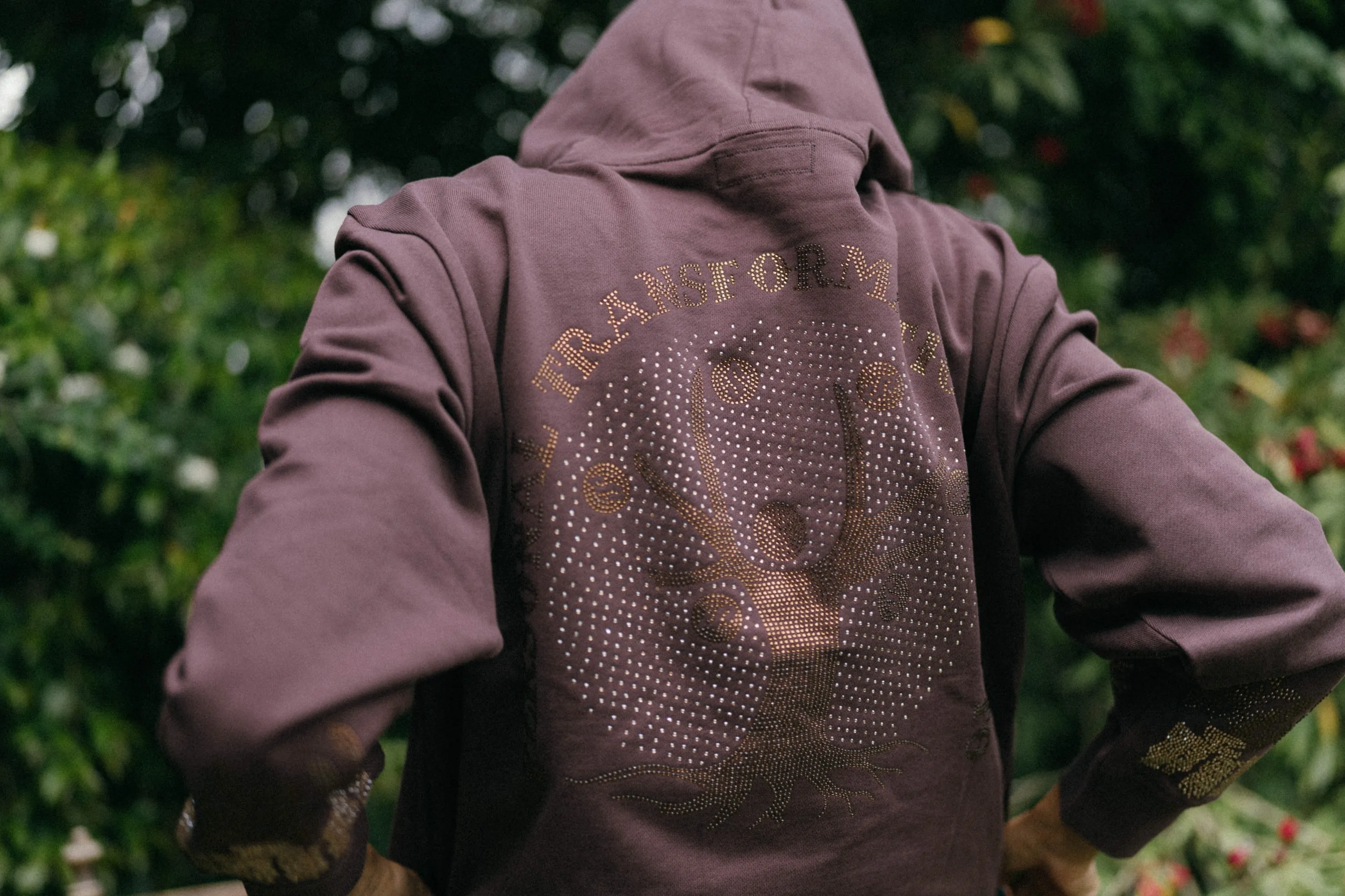 Money Tree Rhinestone Affirmation Hoodie - Brown