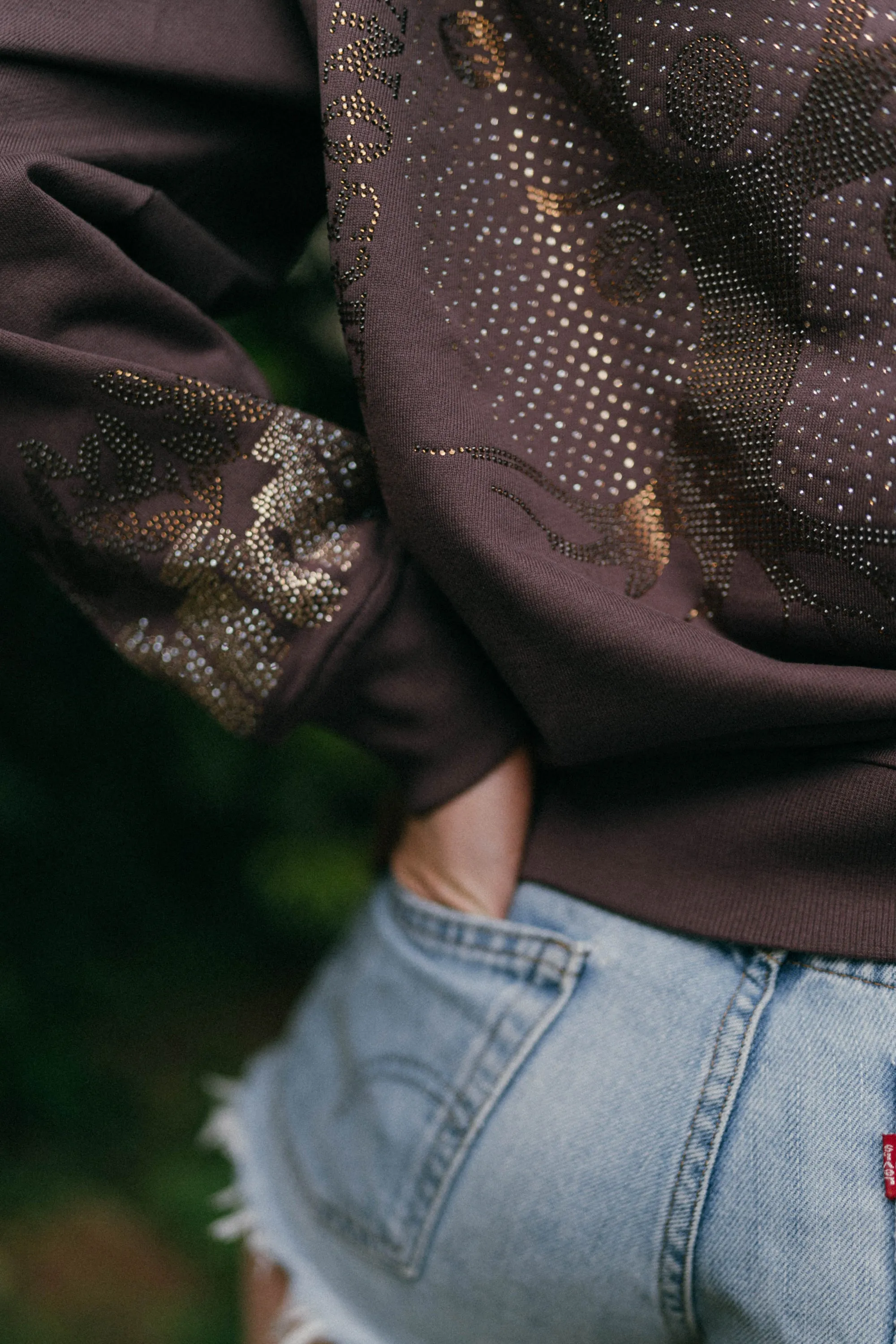 Money Tree Rhinestone Affirmation Hoodie - Brown