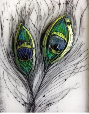 Peacock Feather