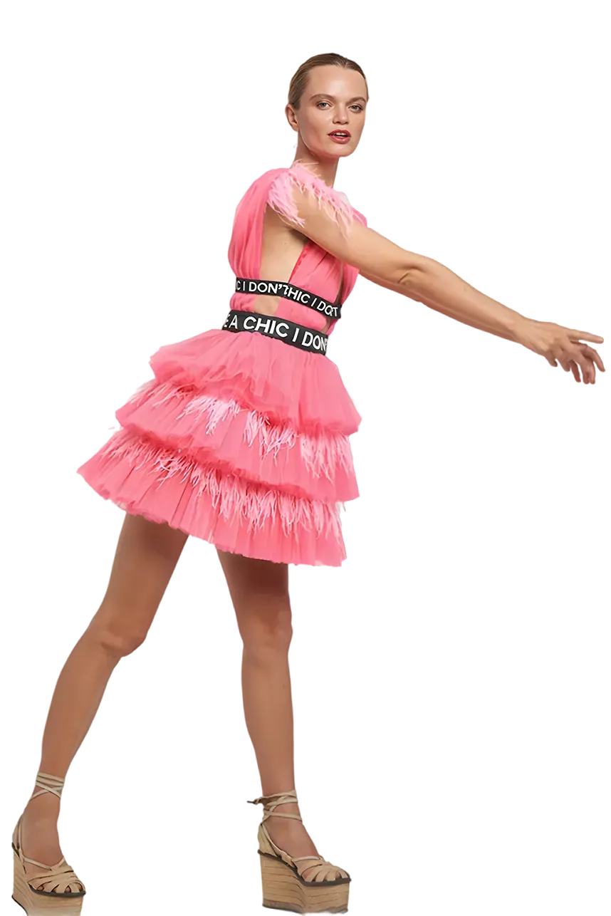 Pink Flou Tulle Mini Dress