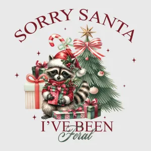 Sorry Santa, I've Been Nice Transfer
