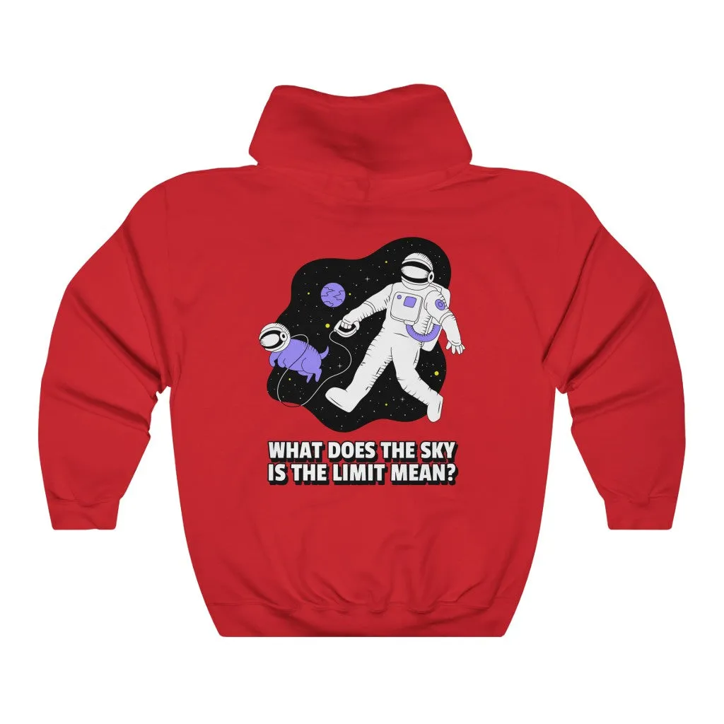 Space Cat Hoodie