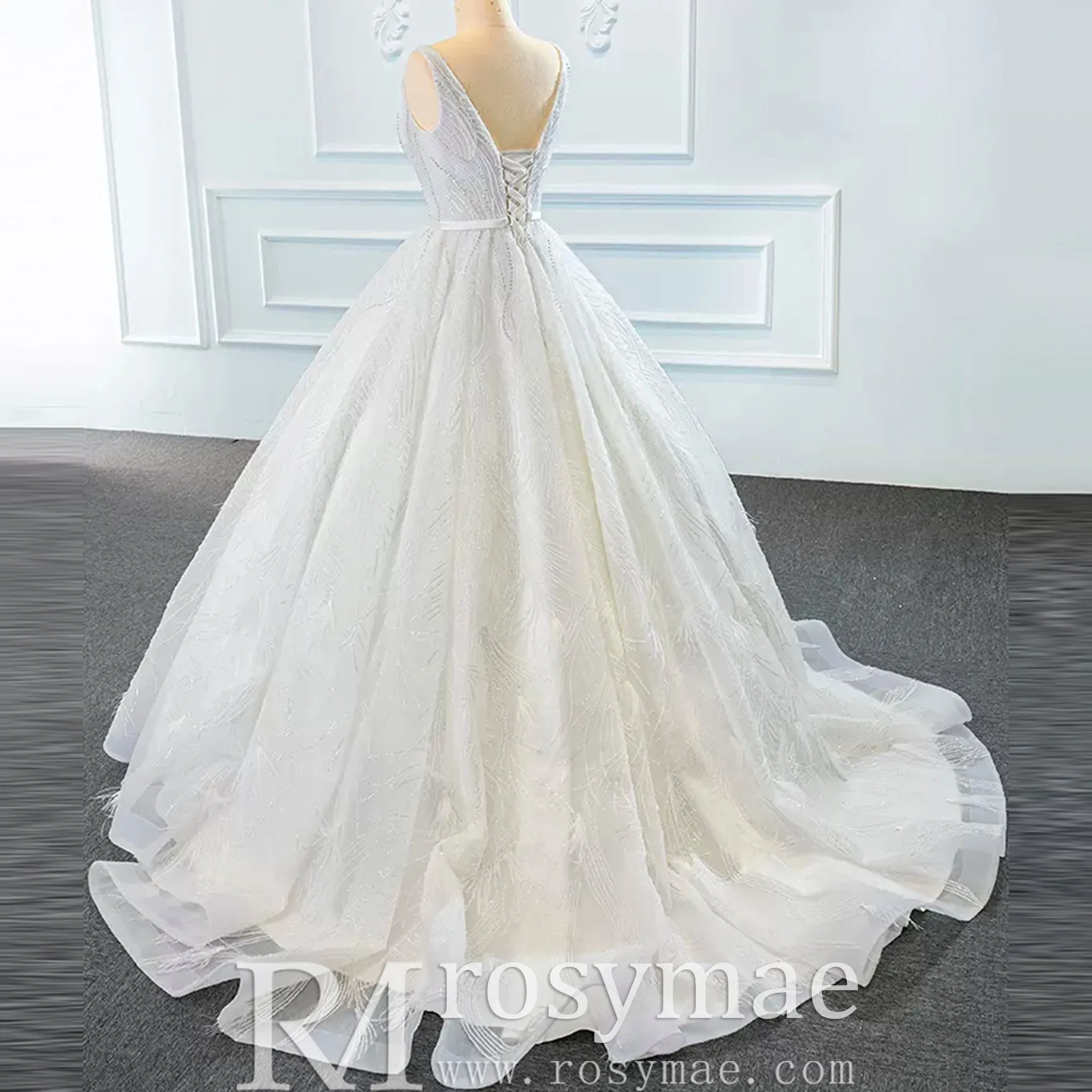 Sparkly Ball Gown Lace Vneck Wedding Dress with Feather