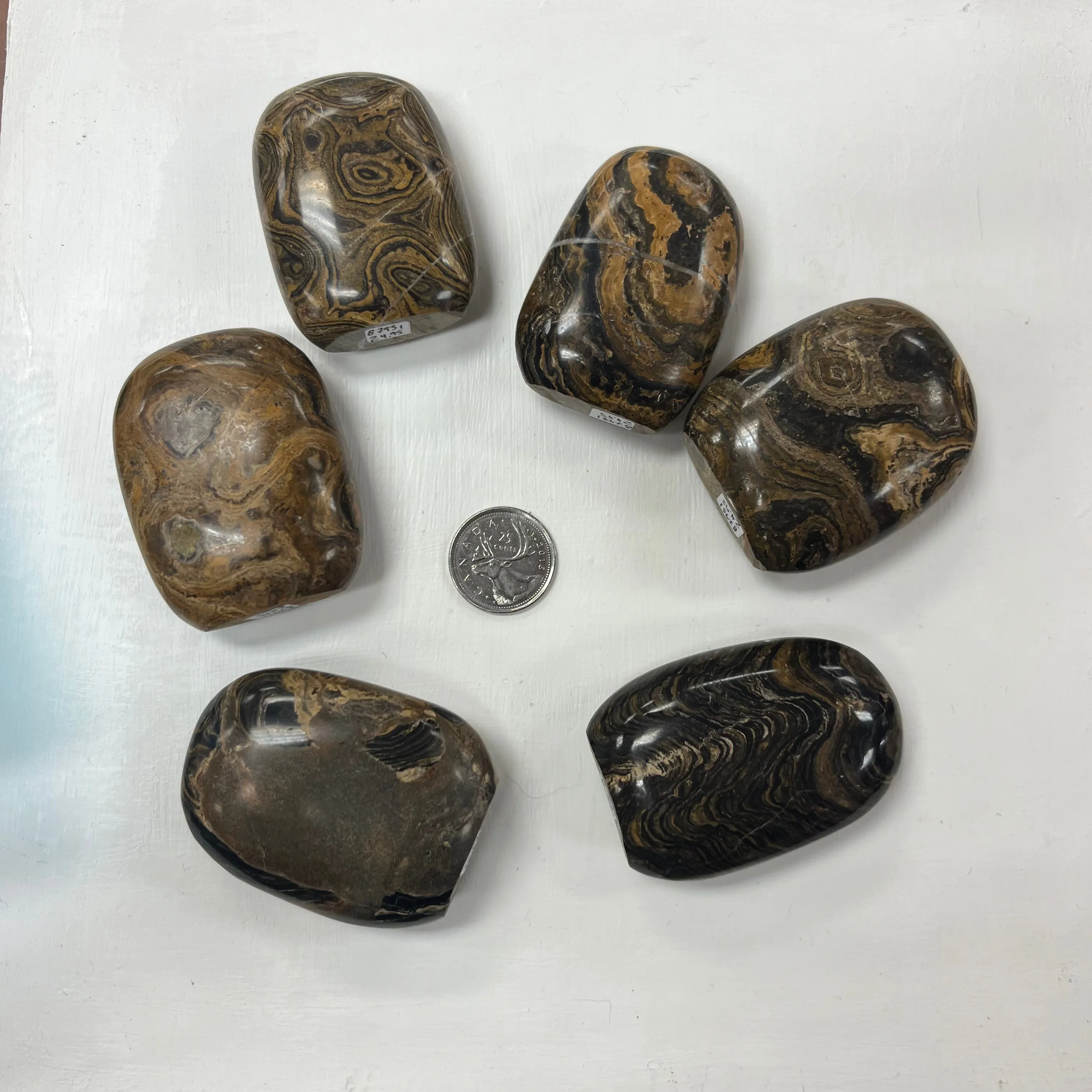 Stromatolite Freeforms