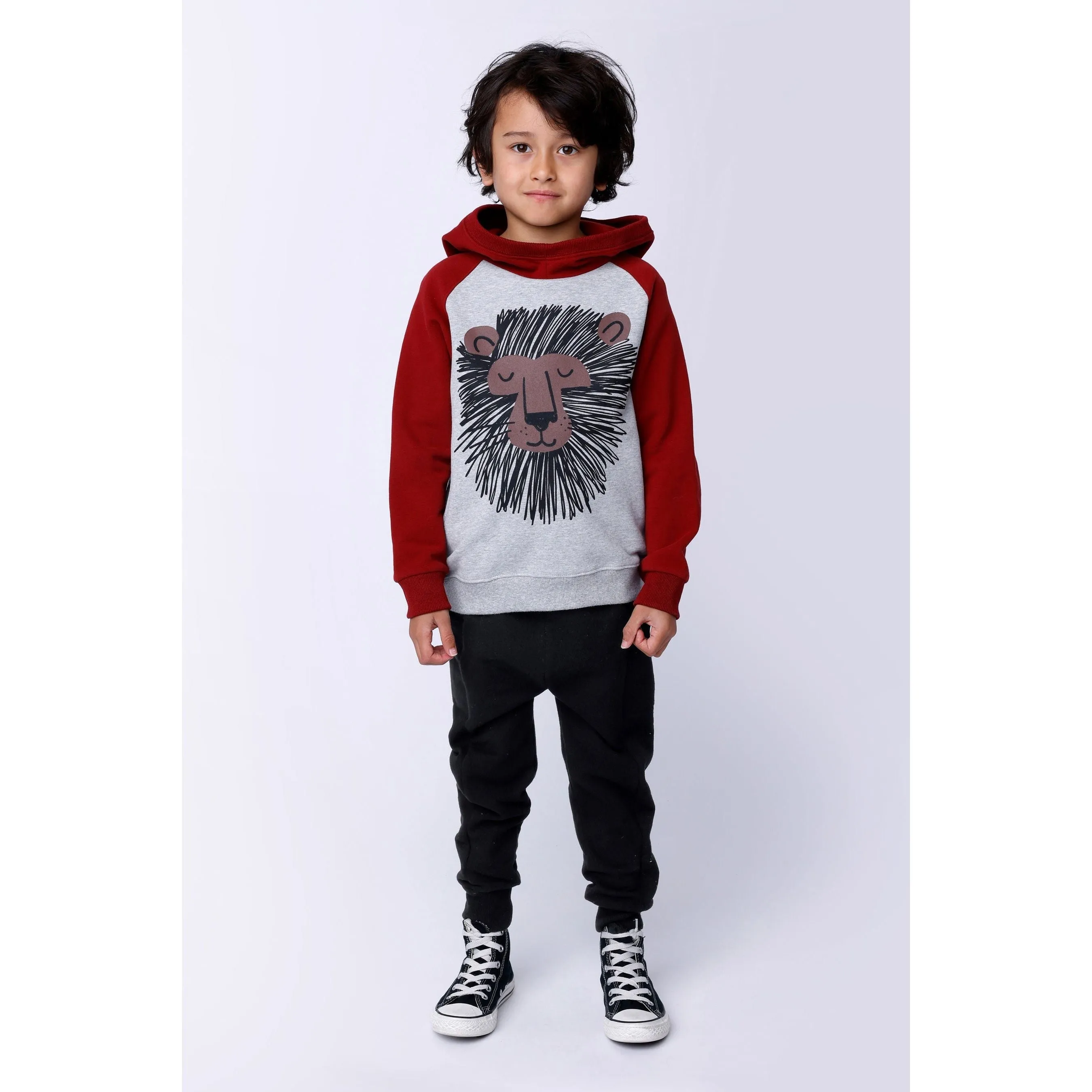 Wild Lion Furry Hood